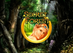 Слот Secret Forest в игровом клубе Вулкан